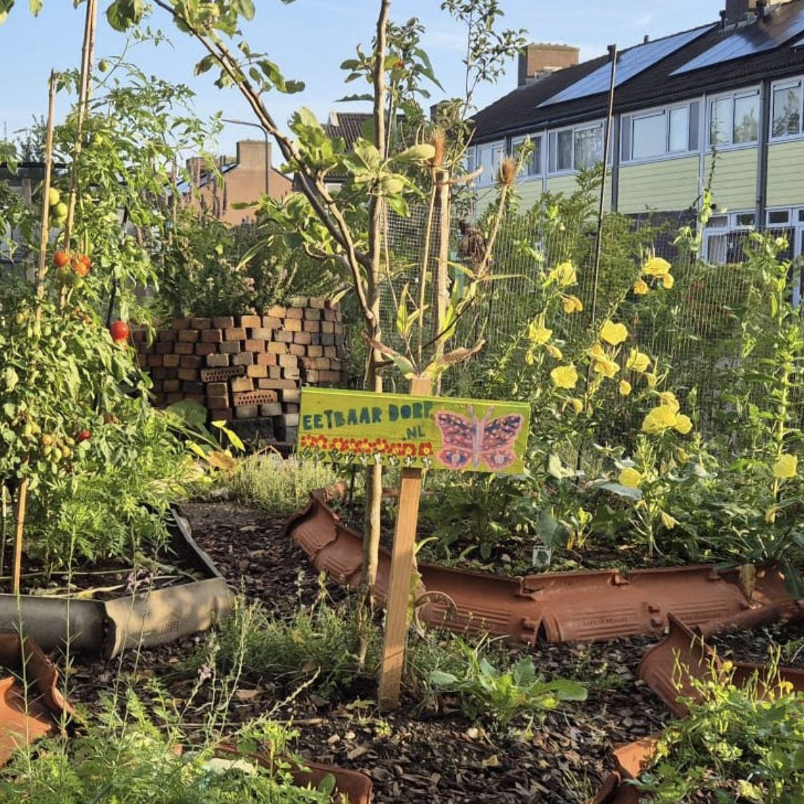 Eetbare tuin in Dieren met tomaten, bloemen en een beschilderd bord van Eetbaar Dorp.