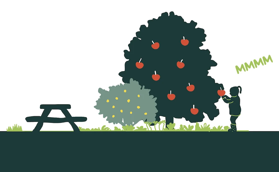 Picknicktafel, bessenstruik en appelboom waar een kind een appel plukt.